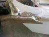 IMG_20120607_104923.jpg