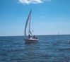 Filename=gs3.jpg
Filesize=137KB
Dimensions=850x754
Date added=Nov 24, 2006 gs3.jpg